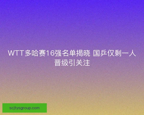 WTT多哈赛16强名单揭晓 国乒仅剩一人晋级引关注 WTT多哈赛16强名单揭晓 国乒仅剩一人晋级引关注