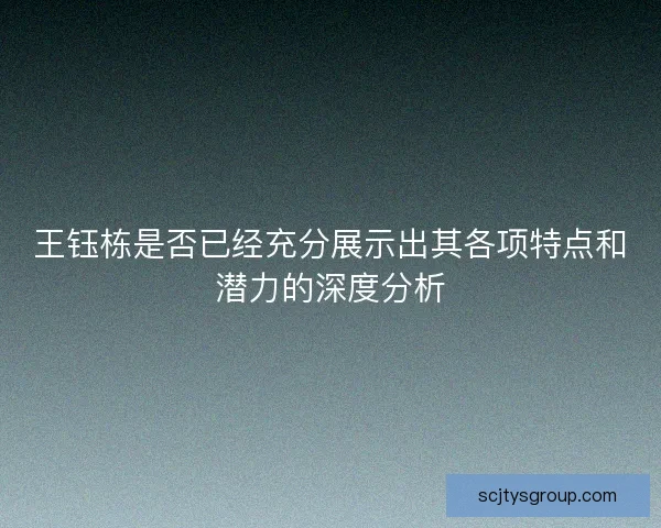 王钰栋是否已经充分展示出其各项特点和潜力的深度分析