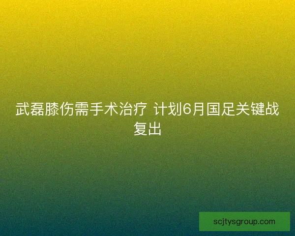 武磊膝伤需手术治疗 计划6月国足关键战复出