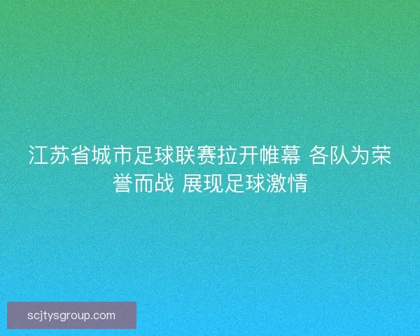 江苏省城市足球联赛拉开帷幕 各队为荣誉而战 展现足球激情
