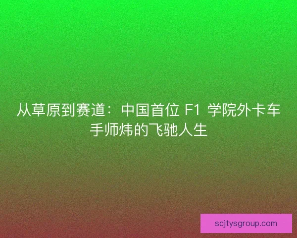 从草原到赛道：中国首位 F1 学院外卡车手师炜的飞驰人生